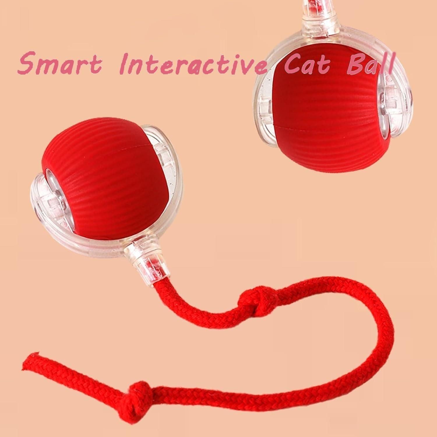 PeekaBOO Play 360° LED Self‑Rolling Pet Ball