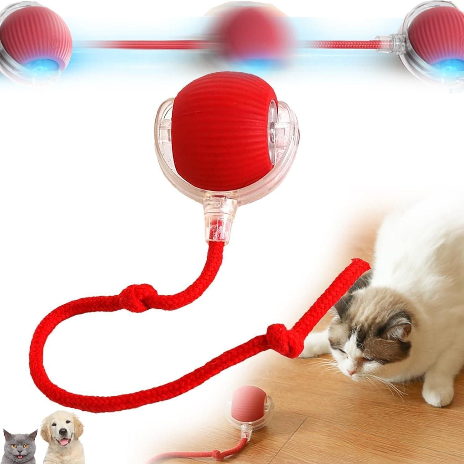 PeekaBOO Play 360° LED Self‑Rolling Pet Ball
