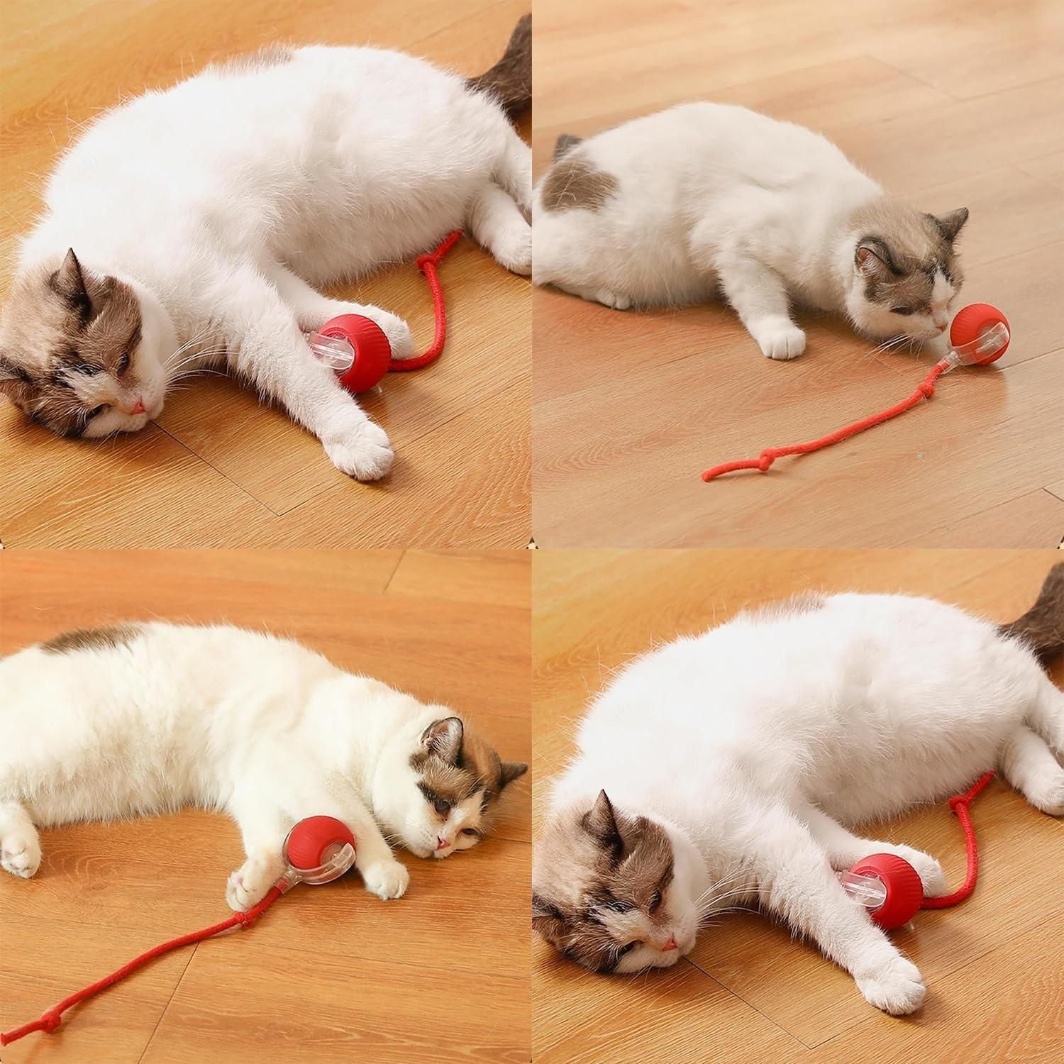 PeekaBOO Play 360° LED Self‑Rolling Pet Ball