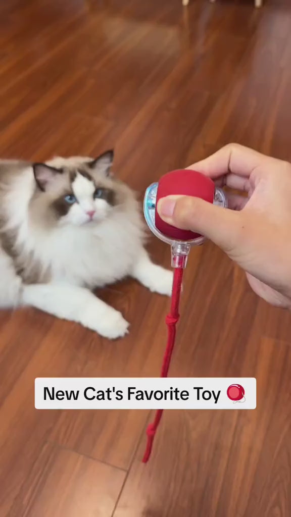 PeekaBOO Play 360° LED Self‑Rolling Pet Ball